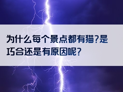 为什么每个景点都有猫？是巧合还是有原因呢？