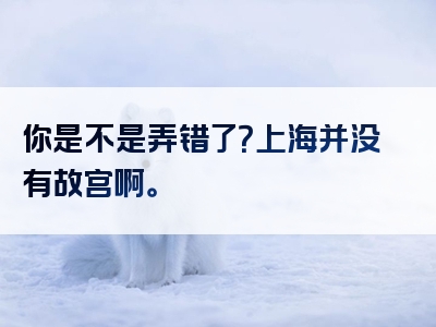 你是不是弄错了？上海并没有故宫啊。
