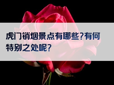 虎门销烟景点有哪些？有何特别之处呢？