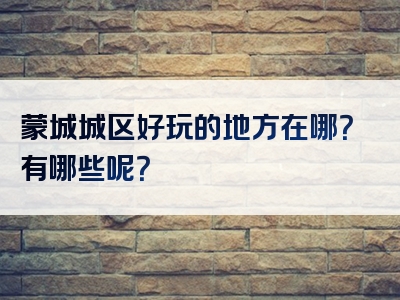 蒙城城区好玩的地方在哪？有哪些呢？