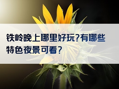 铁岭晚上哪里好玩？有哪些特色夜景可看？