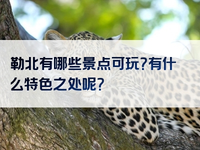 勒北有哪些景点可玩？有什么特色之处呢？