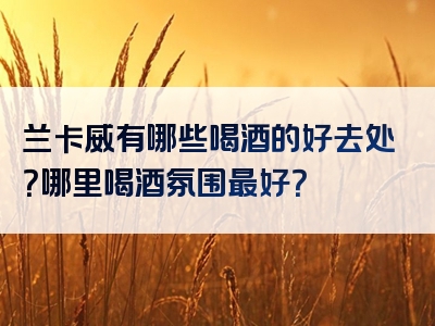 兰卡威有哪些喝酒的好去处？哪里喝酒氛围最好？