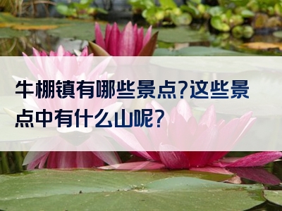 牛棚镇有哪些景点？这些景点中有什么山呢？