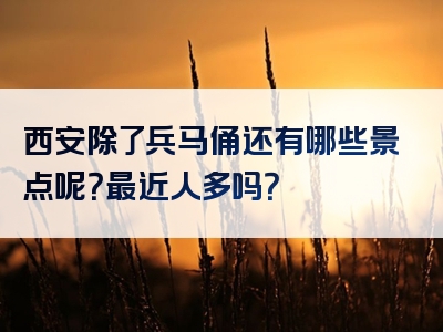 西安除了兵马俑还有哪些景点呢？最近人多吗？