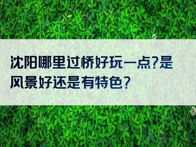 沈阳哪里过桥好玩一点？是风景好还是有特色？
