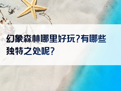 幻象森林哪里好玩？有哪些独特之处呢？