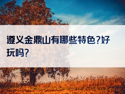 遵义金鼎山有哪些特色？好玩吗？