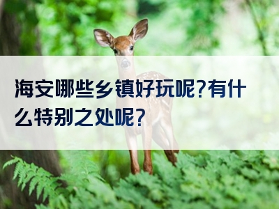 海安哪些乡镇好玩呢？有什么特别之处呢？