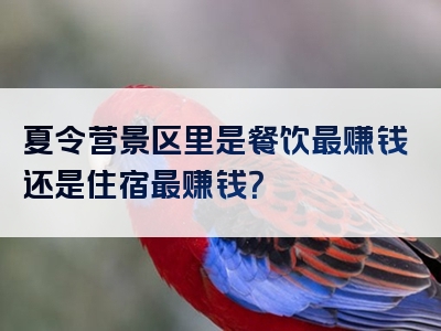 夏令营景区里是餐饮最赚钱还是住宿最赚钱？