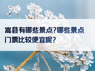 嵩县有哪些景点？哪些景点门票比较便宜呢？