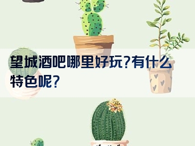 望城酒吧哪里好玩？有什么特色呢？