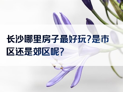 长沙哪里房子最好玩？是市区还是郊区呢？