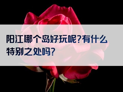 阳江哪个岛好玩呢？有什么特别之处吗？
