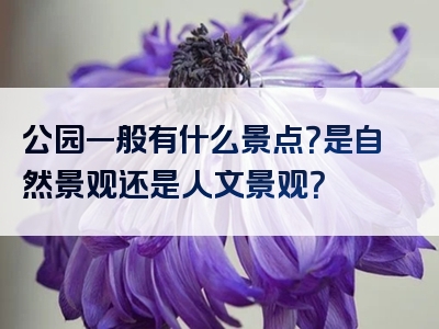 公园一般有什么景点？是自然景观还是人文景观？