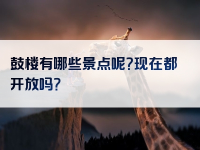 鼓楼有哪些景点呢？现在都开放吗？