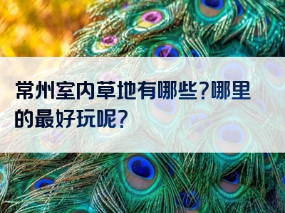 常州室内草地有哪些？哪里的最好玩呢？