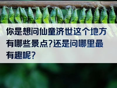 你是想问仙童济世这个地方有哪些景点？还是问哪里最有趣呢？