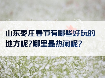 山东枣庄春节有哪些好玩的地方呢？哪里最热闹呢？