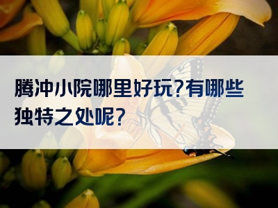 腾冲小院哪里好玩？有哪些独特之处呢？