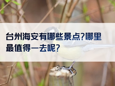 台州海安有哪些景点？哪里最值得一去呢？