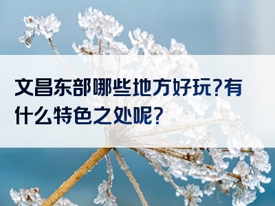 文昌东部哪些地方好玩？有什么特色之处呢？