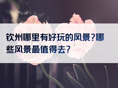 钦州哪里有好玩的风景？哪些风景最值得去？