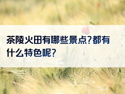 茶陵火田有哪些景点？都有什么特色呢？