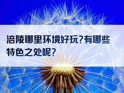 涪陵哪里环境好玩？有哪些特色之处呢？