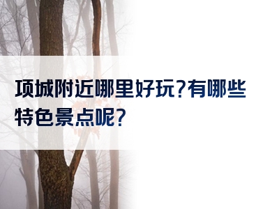 项城附近哪里好玩？有哪些特色景点呢？