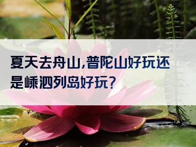 夏天去舟山，普陀山好玩还是嵊泗列岛好玩？