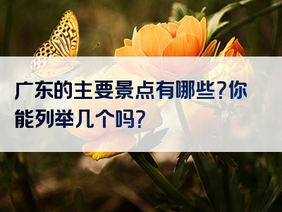 广东的主要景点有哪些？你能列举几个吗？