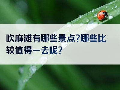 吹麻滩有哪些景点？哪些比较值得一去呢？