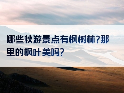 哪些秋游景点有枫树林？那里的枫叶美吗？