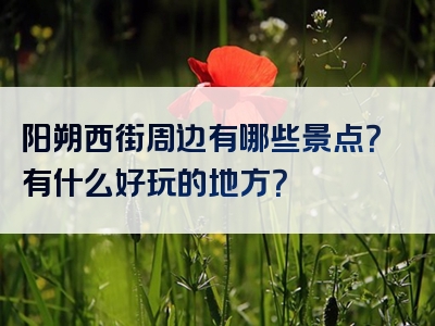 阳朔西街周边有哪些景点？有什么好玩的地方？