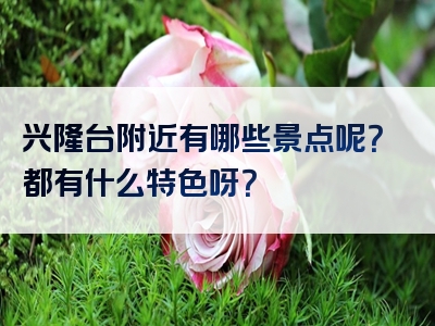 兴隆台附近有哪些景点呢？都有什么特色呀？