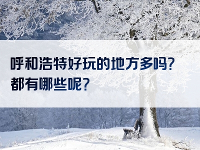 呼和浩特好玩的地方多吗？都有哪些呢？