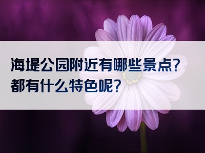 海堤公园附近有哪些景点？都有什么特色呢？