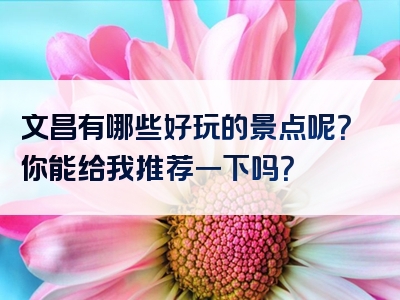 文昌有哪些好玩的景点呢？你能给我推荐一下吗？