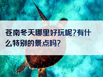 苍南冬天哪里好玩呢？有什么特别的景点吗？