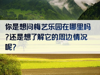 你是想问梅艺乐园在哪里吗？还是想了解它的周边情况呢？