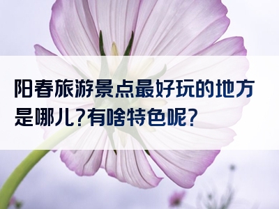 阳春旅游景点最好玩的地方是哪儿？有啥特色呢？