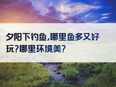 夕阳下钓鱼，哪里鱼多又好玩？哪里环境美？
