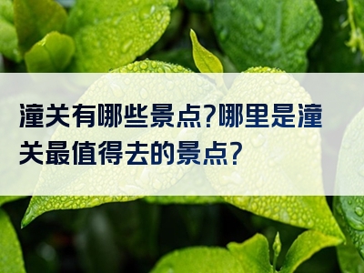 潼关有哪些景点？哪里是潼关最值得去的景点？