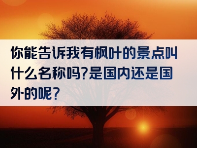 你能告诉我有枫叶的景点叫什么名称吗？是国内还是国外的呢？