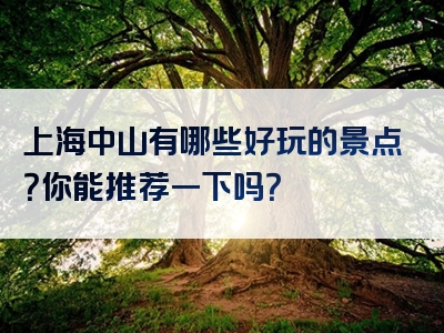 上海中山有哪些好玩的景点？你能推荐一下吗？