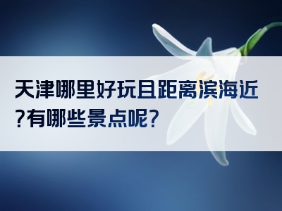 天津哪里好玩且距离滨海近？有哪些景点呢？