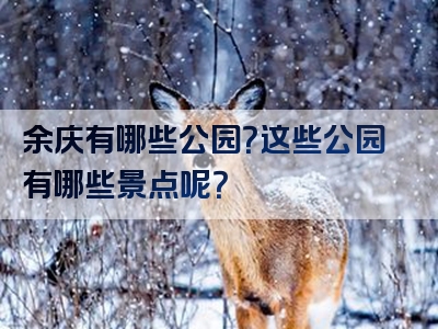 余庆有哪些公园？这些公园有哪些景点呢？