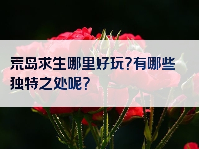 荒岛求生哪里好玩？有哪些独特之处呢？