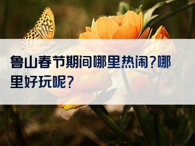 鲁山春节期间哪里热闹？哪里好玩呢？